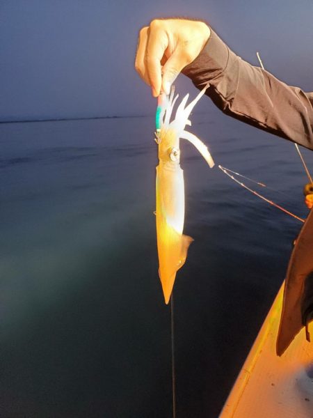 海龍丸（石川） 釣果