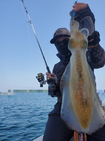 ソルトウォーターガイドフレンズ 釣果