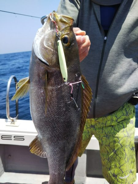 光生丸 釣果