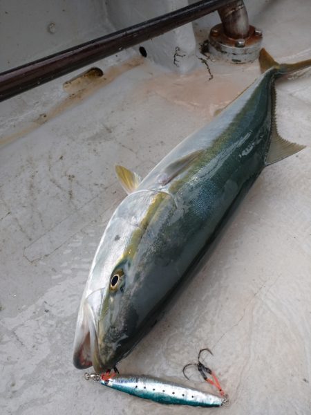 ありもと丸 釣果