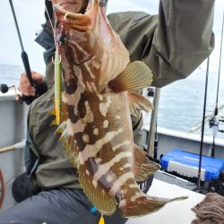 一華丸 釣果