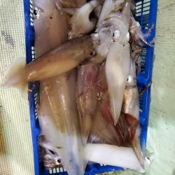 海龍丸（石川） 釣果