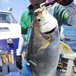 光生丸 釣果