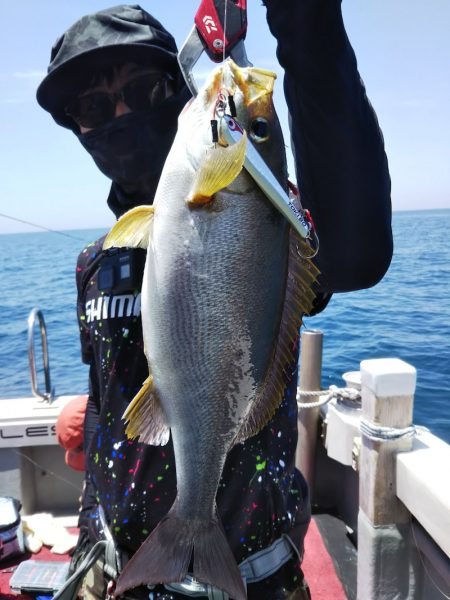 光生丸 釣果