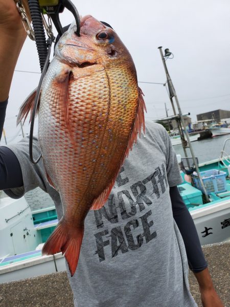 富士丸 釣果