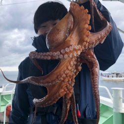 ヤザワ渡船 釣果