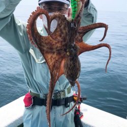 ヤザワ渡船 釣果