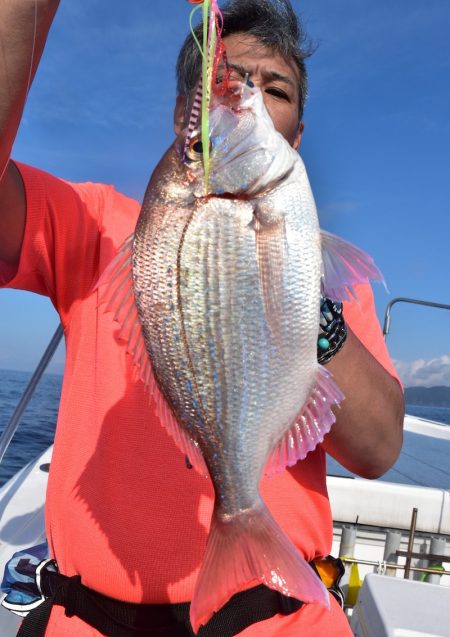 渡船屋たにぐち 釣果