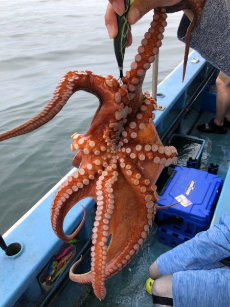 ヤザワ渡船 釣果