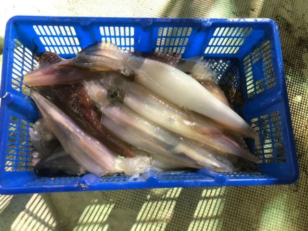 海龍丸（石川） 釣果