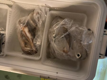 海龍丸（石川） 釣果