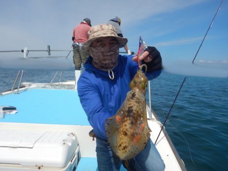 きずなまりん 釣果