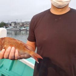 富士丸 釣果