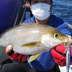 光生丸 釣果