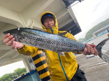 ぽん助丸 釣果