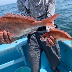 みやけ丸 釣果