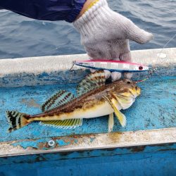 さち丸 釣果