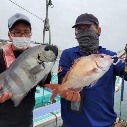 富士丸 釣果