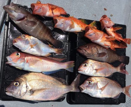 渡船屋たにぐち 釣果