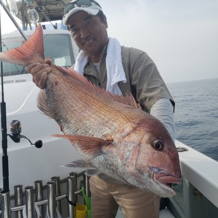 シーライオン 釣果