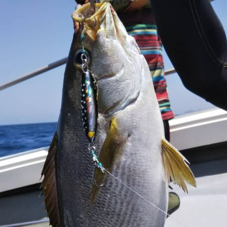 光生丸 釣果