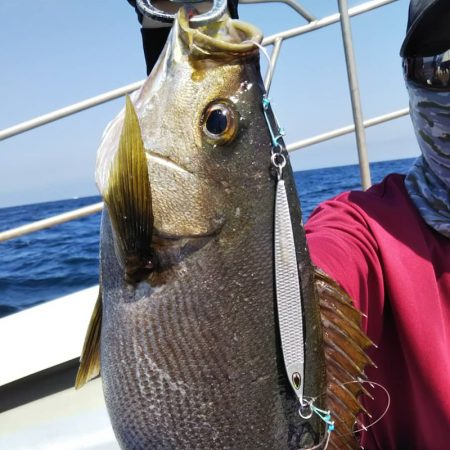 光生丸 釣果