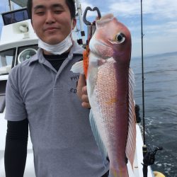 渡船屋たにぐち 釣果