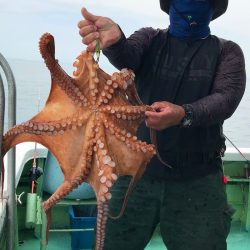 ヤザワ渡船 釣果