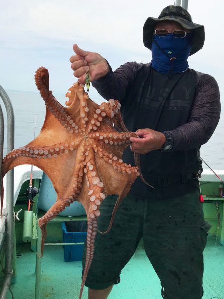 ヤザワ渡船 釣果