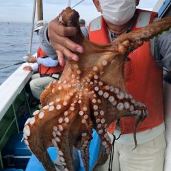 ヤザワ渡船 釣果