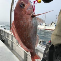 ランスルー 釣果