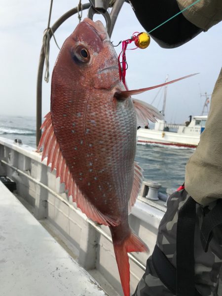 ランスルー 釣果