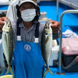 丸万釣船 釣果