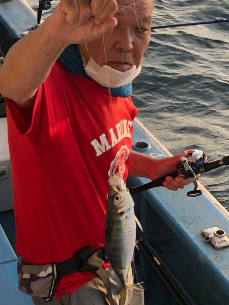 ヤザワ渡船 釣果