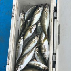 丸万釣船 釣果