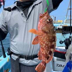 みやけ丸 釣果