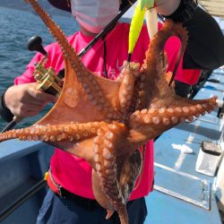 ヤザワ渡船 釣果