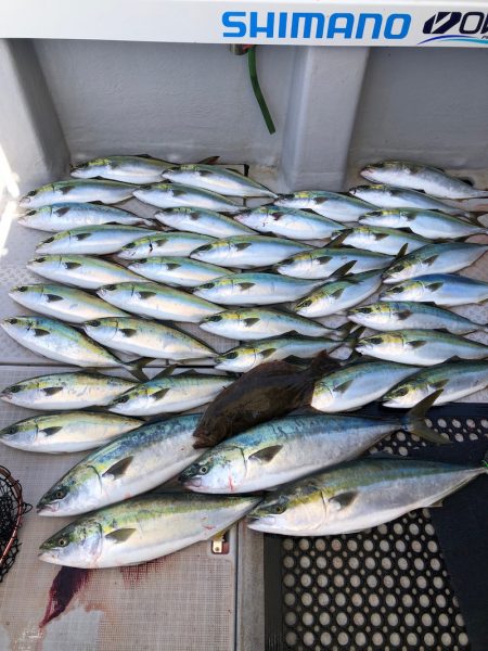 浜栄丸 釣果