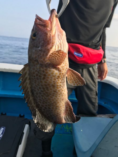 太平丸 釣果