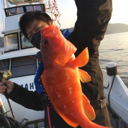 渡船屋たにぐち 釣果