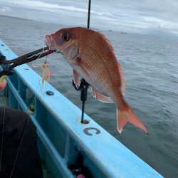 みやけ丸 釣果