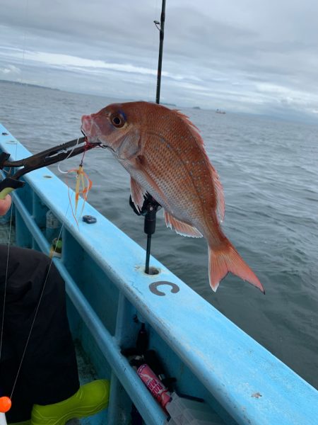 みやけ丸 釣果