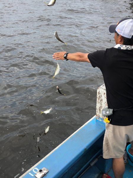 ヤザワ渡船 釣果