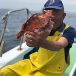 丸万釣船 釣果