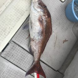 遊漁船メテオ 釣果