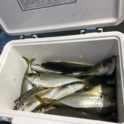 ヤザワ渡船 釣果