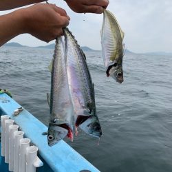 みやけ丸 釣果