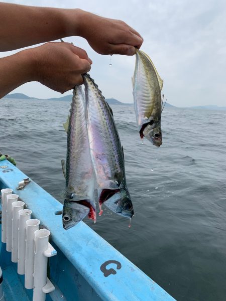 みやけ丸 釣果