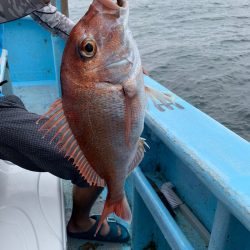 みやけ丸 釣果