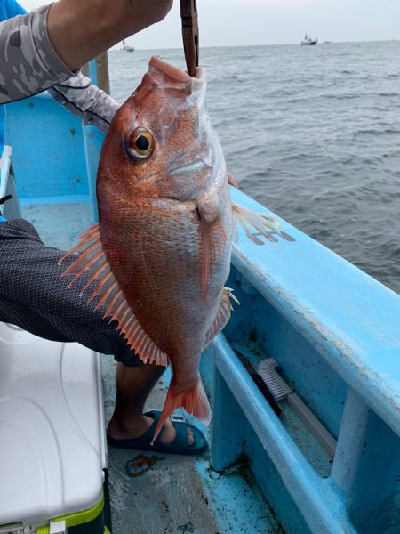 みやけ丸 釣果